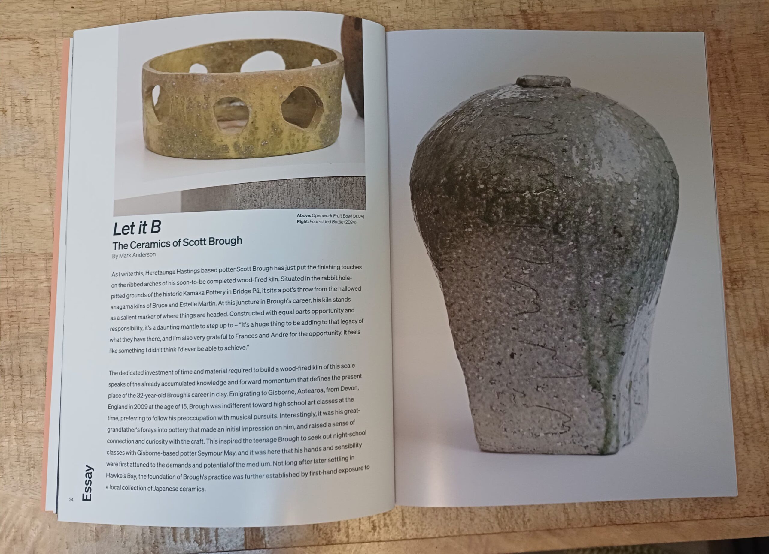 Volume 9, Issue 1, Spring 2026 - Image 4